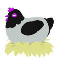 Metallica, a silver and black chicken with a head pattern