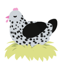 A mist and black chicken with a speckle pattern