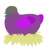 Stonnatta, a grey and amethyst chicken with a double-lace pattern