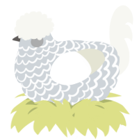 A mist and white chicken with a lace pattern