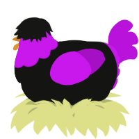 A black and amethyst chicken with a head pattern
