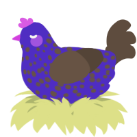 A indigo and bark chicken with a speckle pattern