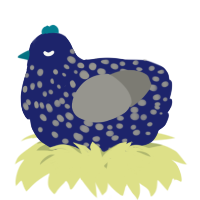 A navy and ash chicken with a speckle pattern