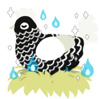 A black and white chicken with a lace pattern