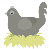 A ash chicken