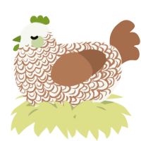 A white and brown chicken with a double-lace pattern