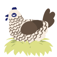 A cream and bark chicken with a lace pattern