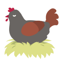 A grey and russet chicken