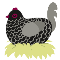 A sable and ash chicken with a lace pattern