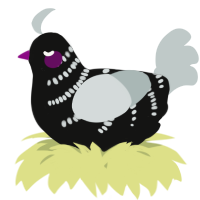 A black and silver chicken with a half-bar pattern