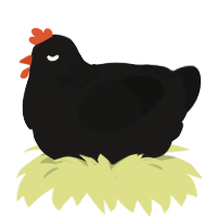 Spaghetti Spoon, a sable and black chicken with a neck-speckle pattern