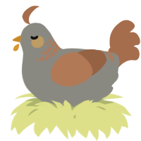 A ash and brown chicken with a neck-band pattern