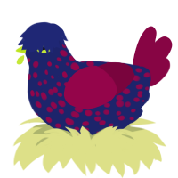 A navy and maroon chicken with a speckle pattern