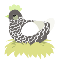 A grey and white chicken with a lace pattern