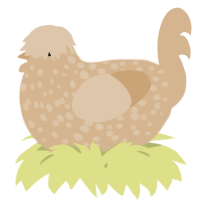 A beige chicken with a speckle pattern