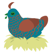 A sea and russet chicken with a lace pattern