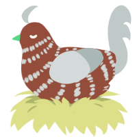 Strut, a russet and silver chicken with a bar pattern