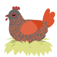 A grey and vermilion chicken with a double-lace pattern