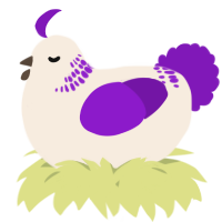 A cream and violet chicken with a neck-band pattern