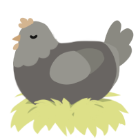 A grey and ash chicken with a head pattern