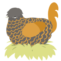 A grey and orange chicken with a lace pattern