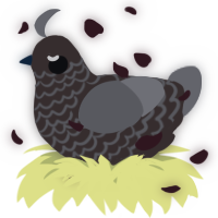 A silver and ash chicken with a lace pattern