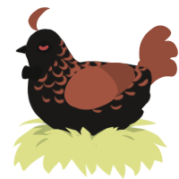 lantern, a sable and russet chicken with a half-lace pattern