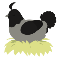 A ash and sable chicken with a head pattern