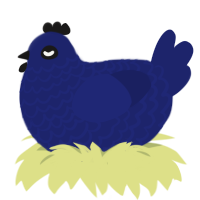 Lapis, a navy chicken with a lace pattern