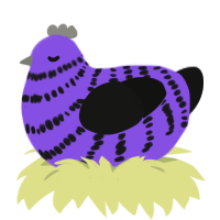 Its not a phase mom, a blurple and black chicken with a bar pattern