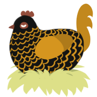 Barry, a black and ochre chicken with a lace pattern