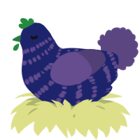 A navy and overcast chicken with a bar pattern