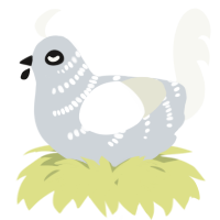 A mist and white chicken with a half-bar pattern