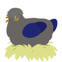 A grey and navy chicken