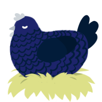 A navy and tumblr chicken with a lace pattern
