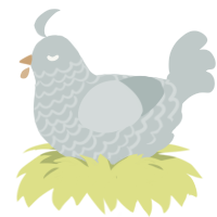 Shale, a silver chicken with a lace pattern