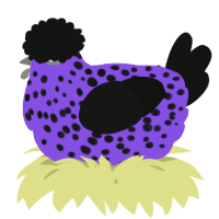 A blurple and black chicken with a speckle pattern