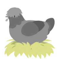 A lime and russet chicken with a head pattern