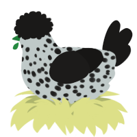 A silver and sable chicken with a speckle pattern