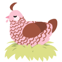 A rose and russet chicken with a lace pattern