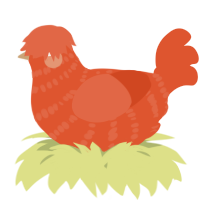 A vermilion chicken with a bar pattern