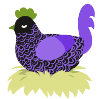Oil Slick, a sable and blurple chicken with a double-lace pattern