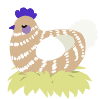 A beige and white chicken with a bar pattern