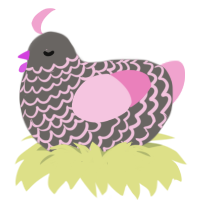 Pixie, a grey and pink chicken with a lace pattern