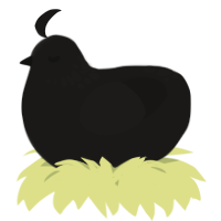 A sable chicken with a neck-speckle pattern