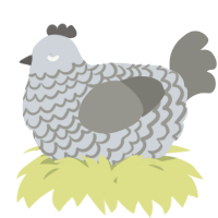 A mist and ash chicken with a lace pattern