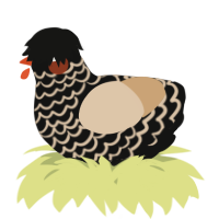 A black and beige chicken with a lace pattern