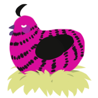 A fuchsia and black chicken with a bar pattern