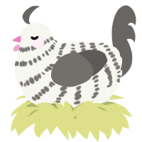A white and grey chicken with a bar pattern