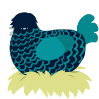 Ocean city, a tumblr and teal chicken with a lace pattern
